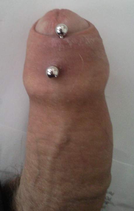 Photo of a hot dog from xander69