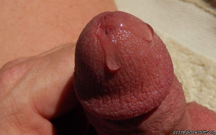 Your pre-cum looks soooooo delicious!!!!    