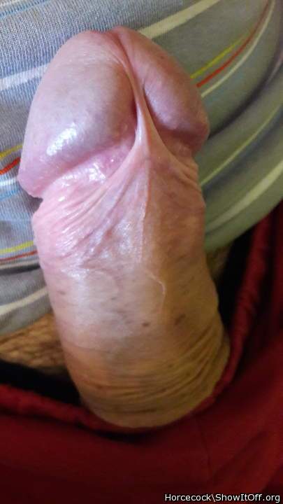 wow what a great frenulum , can I lick it ?