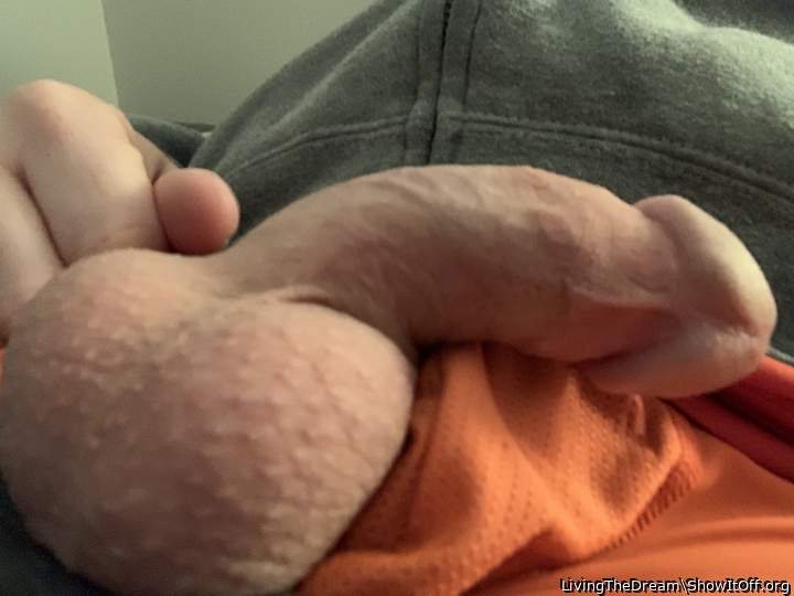 Photo of a middle leg from LivingTheDream