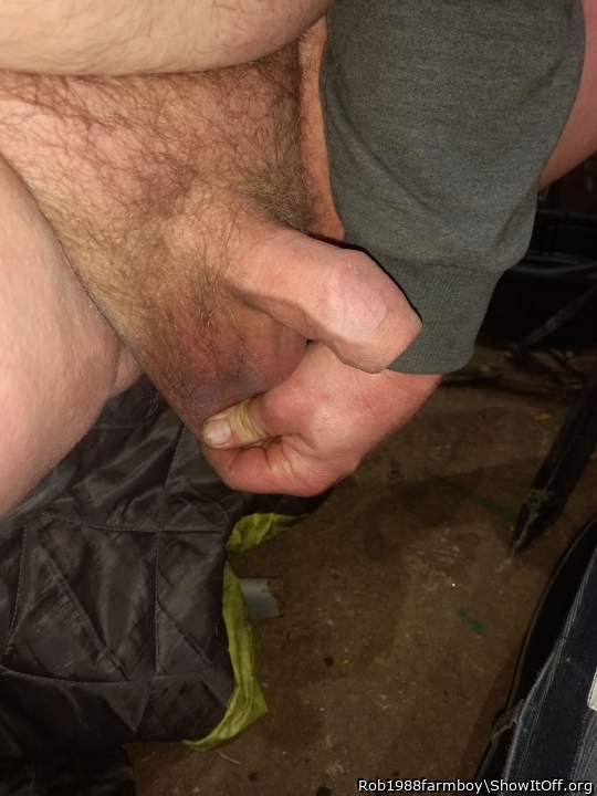 Testicles Photo from Rob1988farmboy