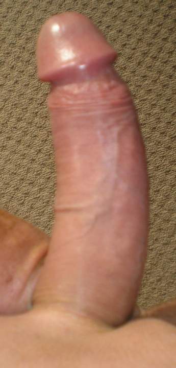 Photo of a wiener from Bian