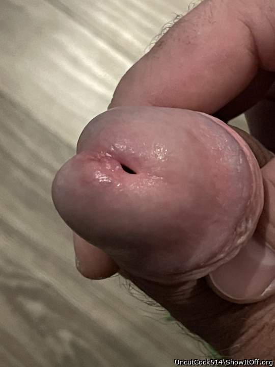 Just a shiny head