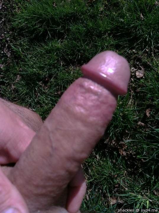 Photo of a sausage from shackles