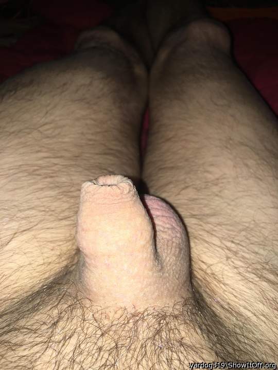 Photo of a dong from yardog319