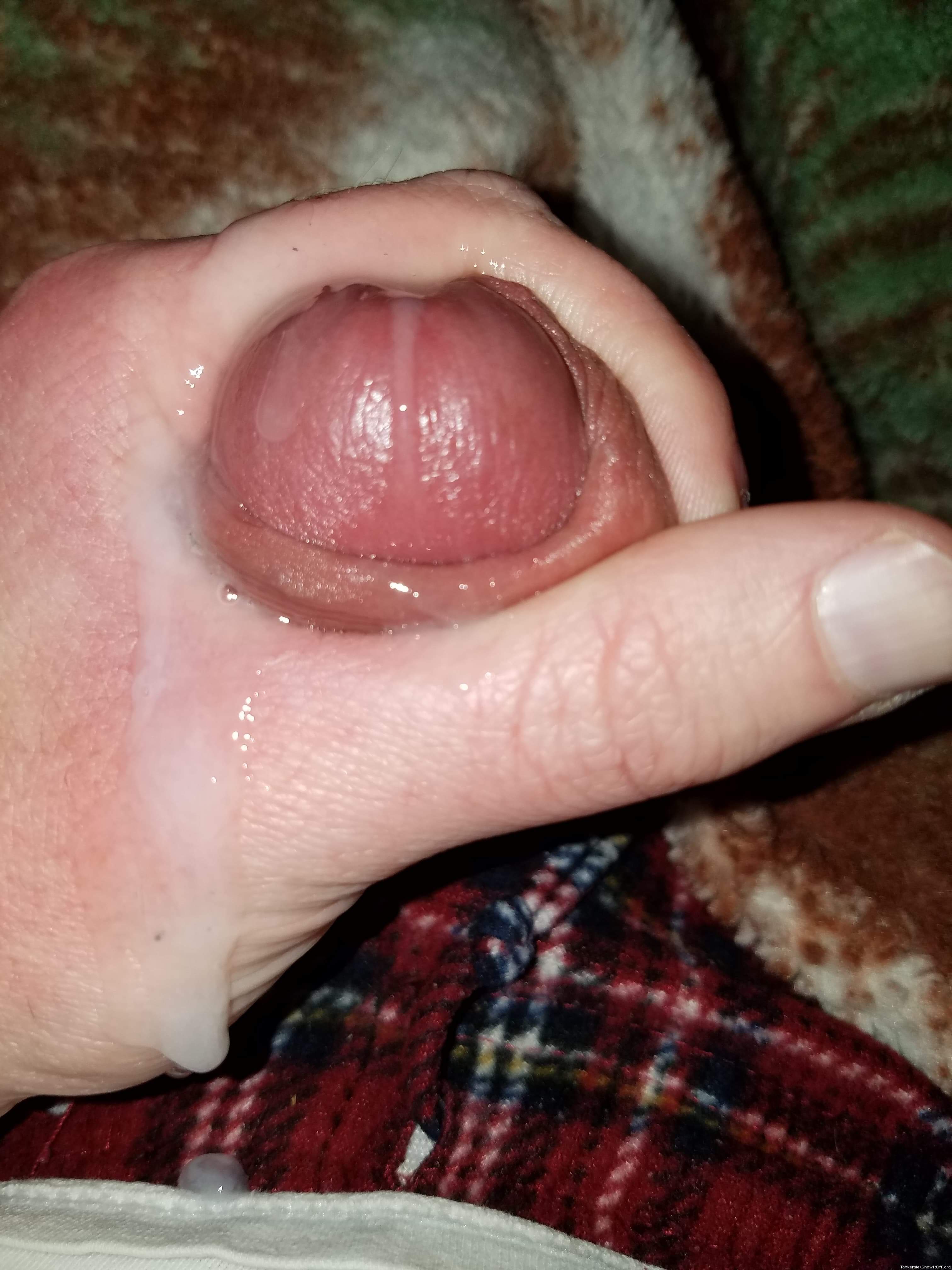 Photo of a dong from Tankerale