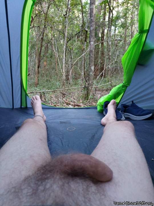 Photo of a private part from liamx