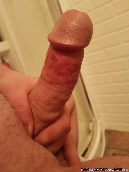 Photo of a cavalier from Metalguy45154