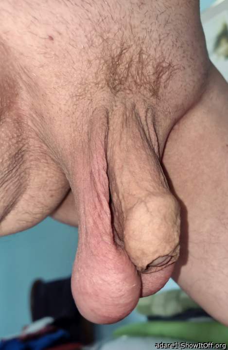 magnificent penis 
