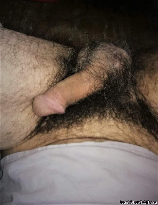   beautiful bush!!