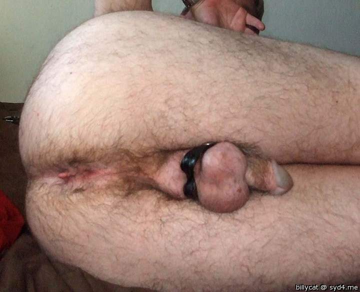 Bang  that hairy hole Billy boy