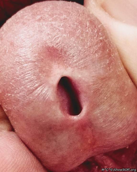 Beautiful closeup !  