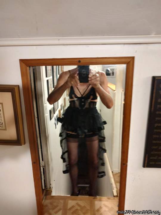 Photo of a snake from mils77