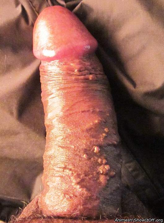 Photo of a meat stick from Animesh