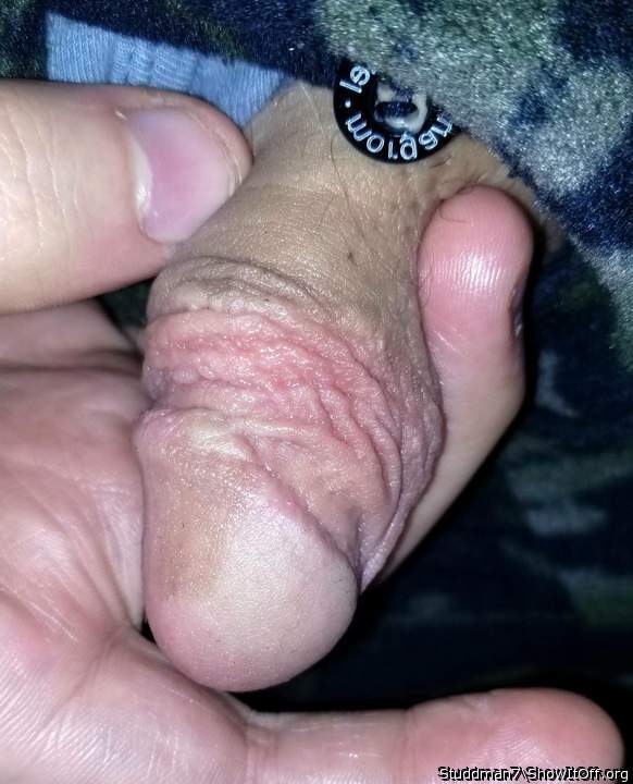 Photo of a prick from Studdman7