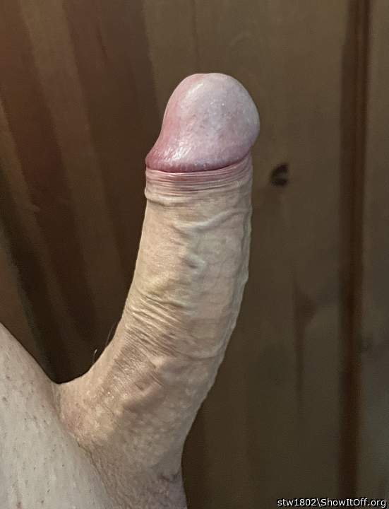 Hard & horny