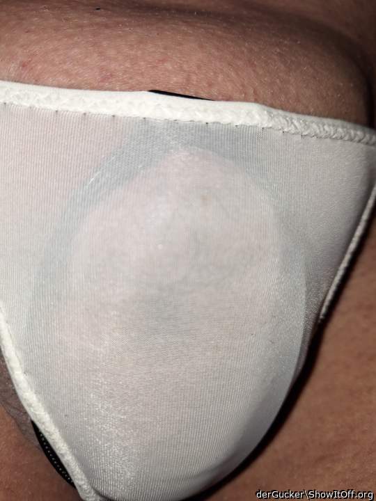 tucked cock in Slip