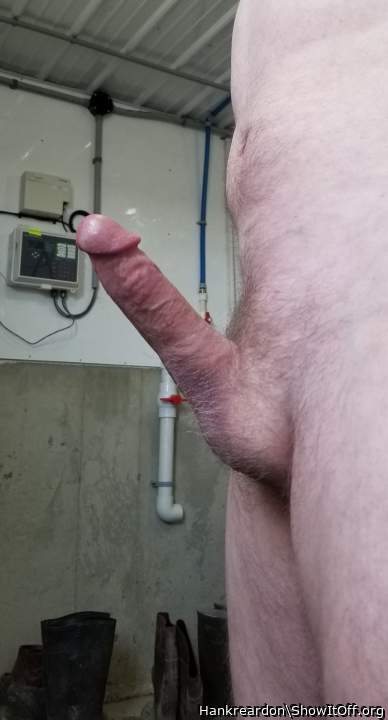 Photo of a hot dog from Hankreardon
