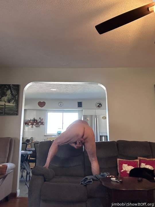 Photo of a wiener from jimbobi