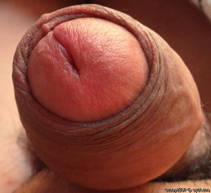 Photo of a phallus from eusay1587