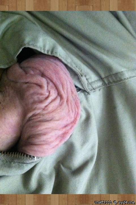 Photo of a bald-headed mouse from Matt3111