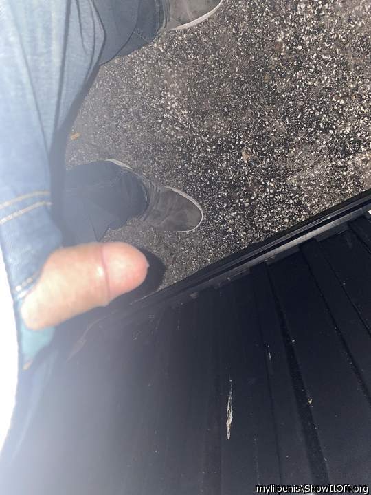 Photo of a middle leg from mylilpenis