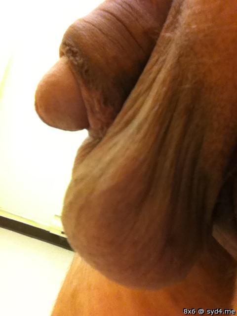 Testicles Photo from 8x6