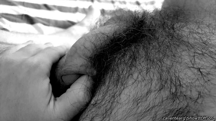 Photo of a short leg from calientearg