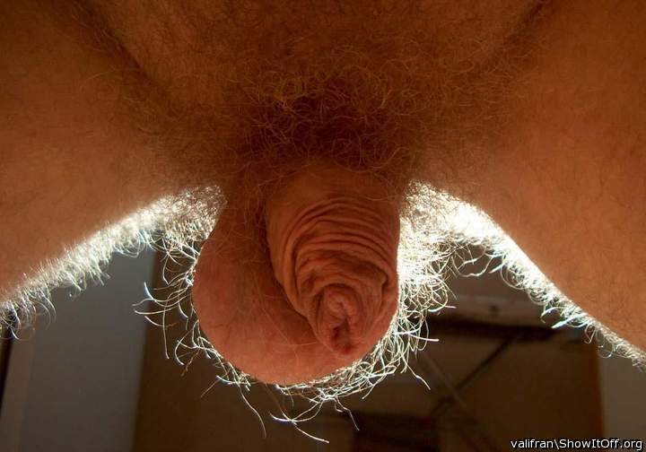 The light is perfect in your bush  
