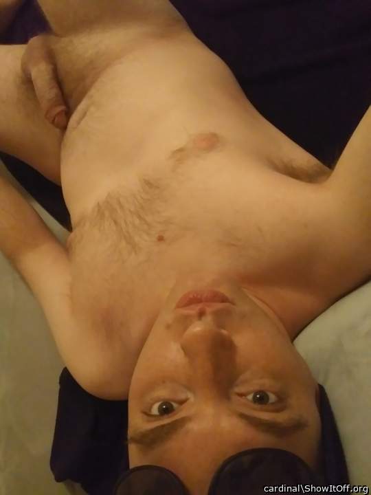 Photo of a pecker from cardinal