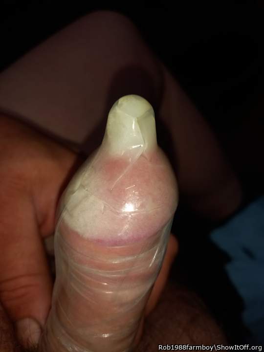 Photo of a bat from Rob1988farmboy