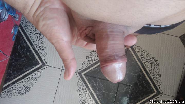 Photo of a middle leg from olivio