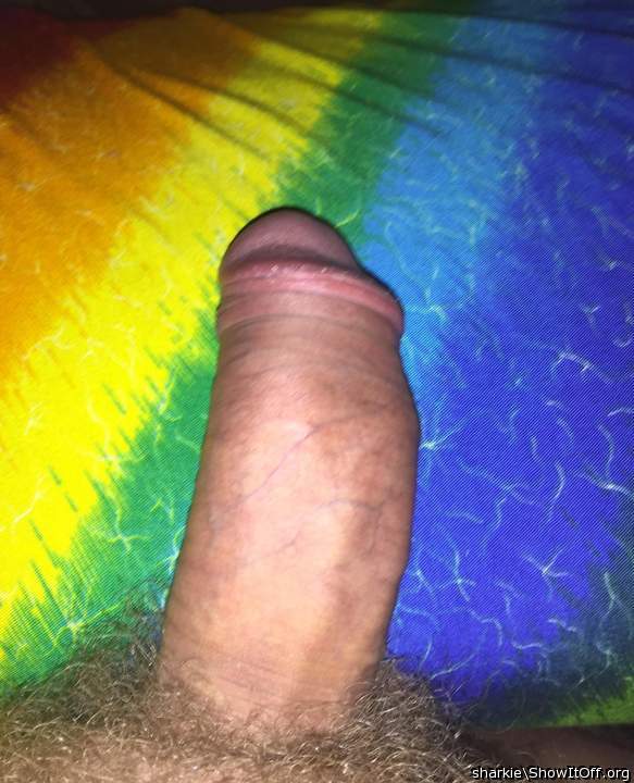 Beautiful yummy lets hook up I am hung and smooth bi sexual
