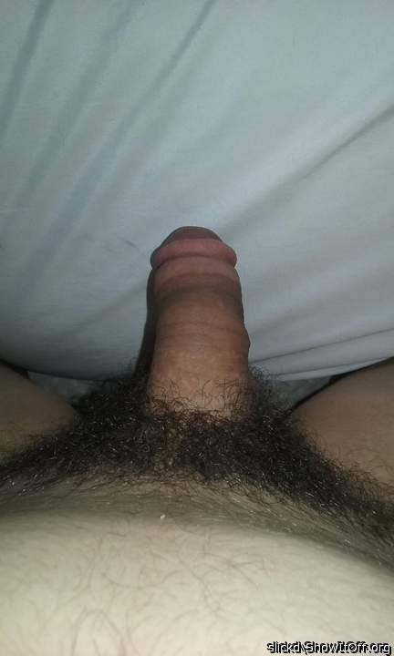Photo of a python from slickd