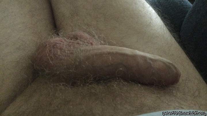 Photo of a hot dog from peter79