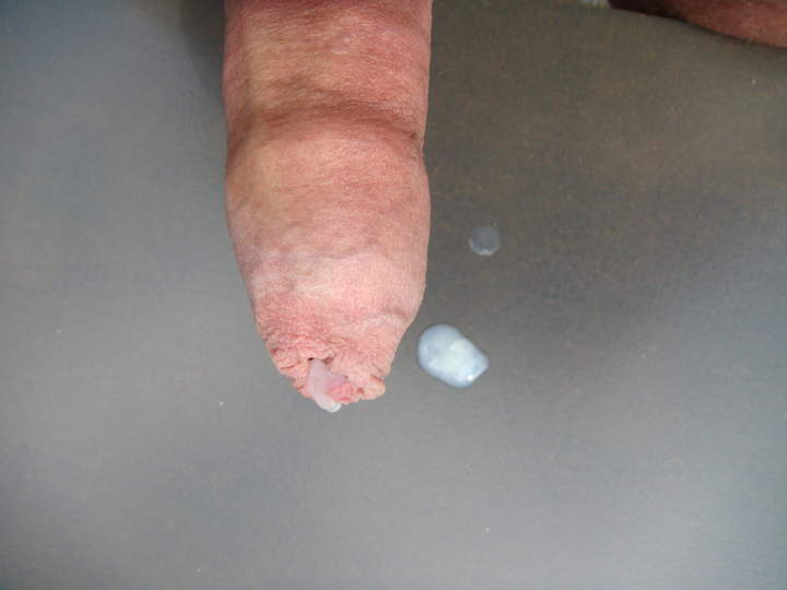 Photo of a hot dog from sivad666