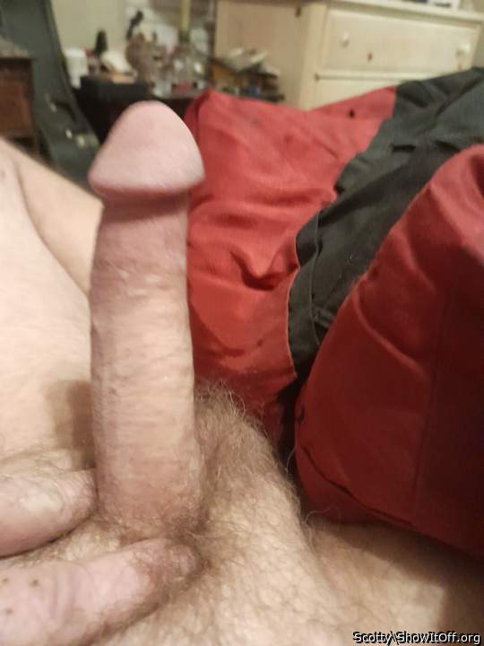 Photo of a one-eyed monster from Scotty