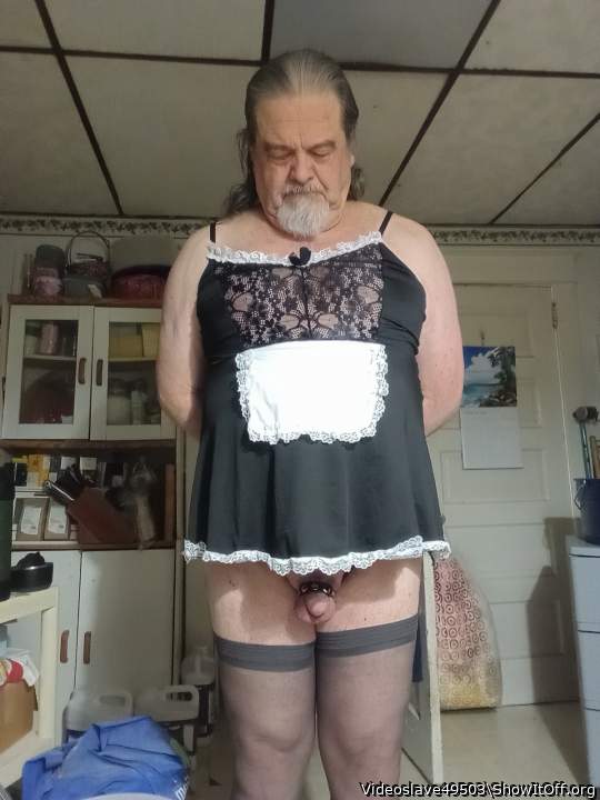Photo of a python from Videoslave49503