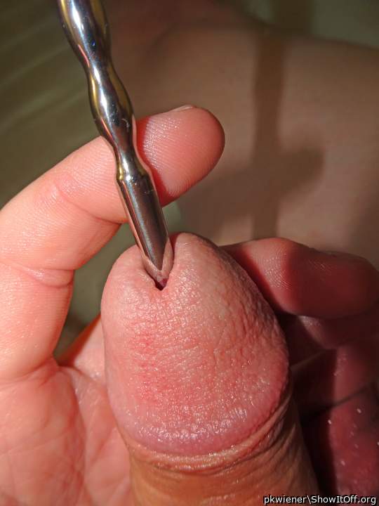 Adult image from pkwiener