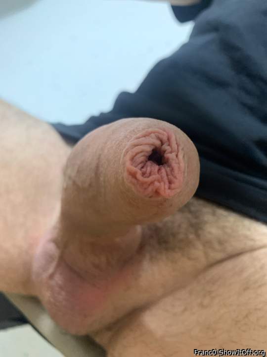 Photo of a ram rod from Franc0