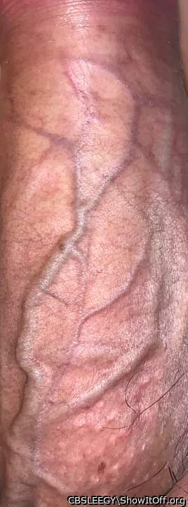Photo of a sausage from CBSLEEGY