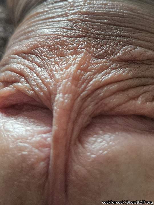 Frenulum close-up