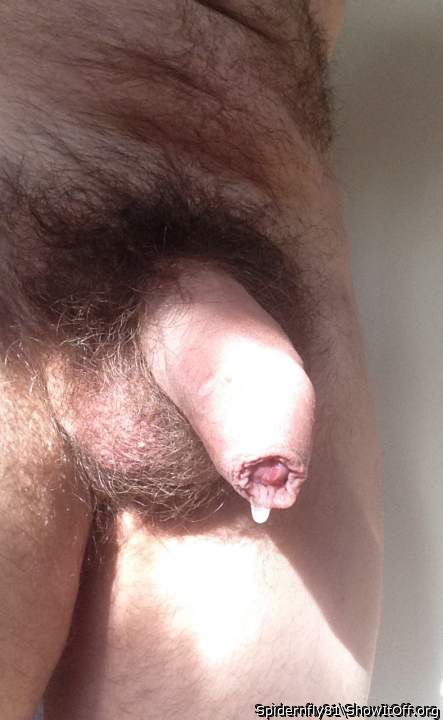 Precum starting to flow