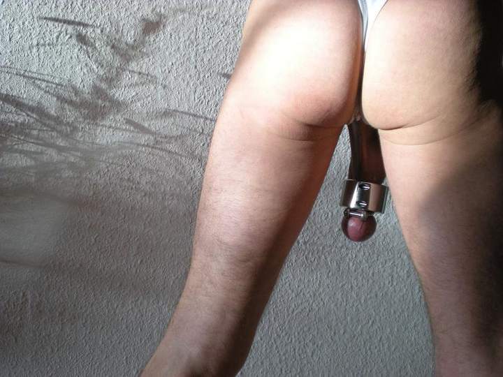 Testicles Photo from salinesteve