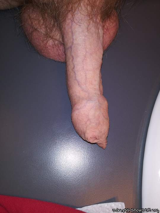 Foreskin