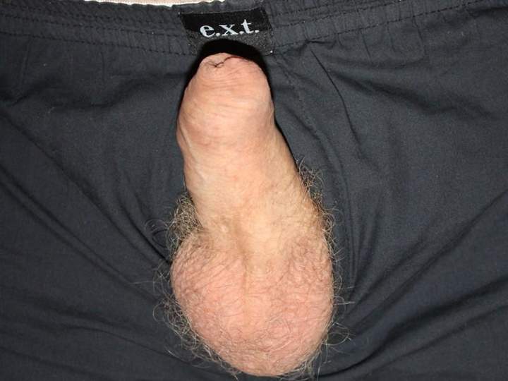 Photo of a tool from Sharkie