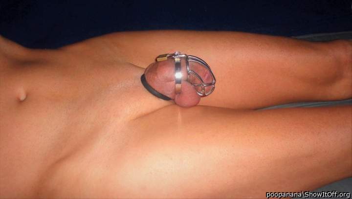 OMG! nude, smooth AND caged!? i am now officially in love!