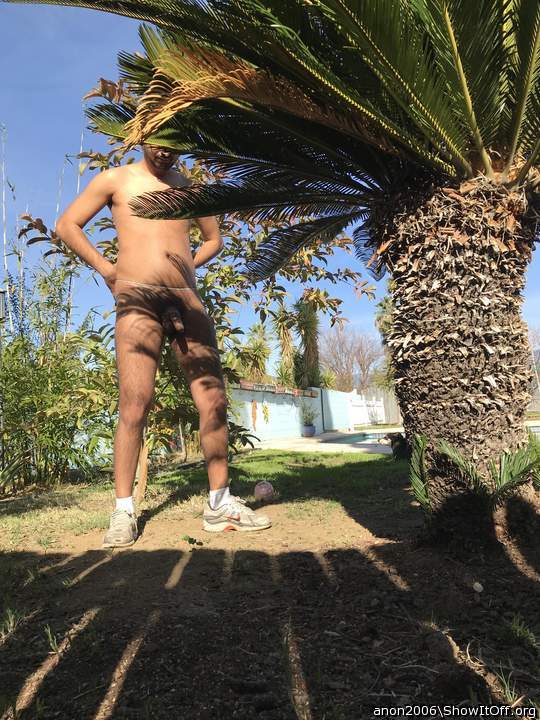 Photo of a middle leg from anon2006