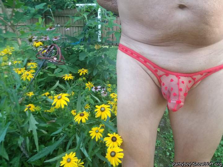 Photo of a bald-headed mouse from Pantyboy