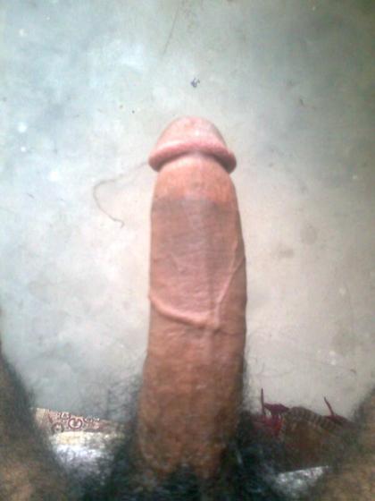 Rod